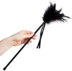 secretplay plumes noires 40 cm