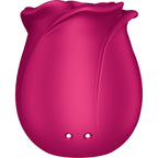 Stimulateur clitoridien sans contact fleur Pro 2 Classic — détail texture surface