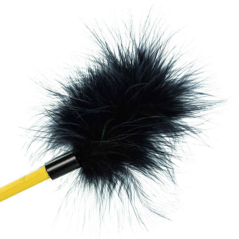 calexotics boundless recolte de plumes