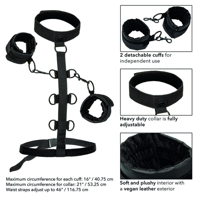 Harnais collier Boundless a plat avec cotes et encarts detaillant les menottes amovibles et le collier reglable, systeme de contention corporelle BDSM.