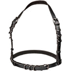 calexotics euphoria harnais boucle licol taille plus noir
