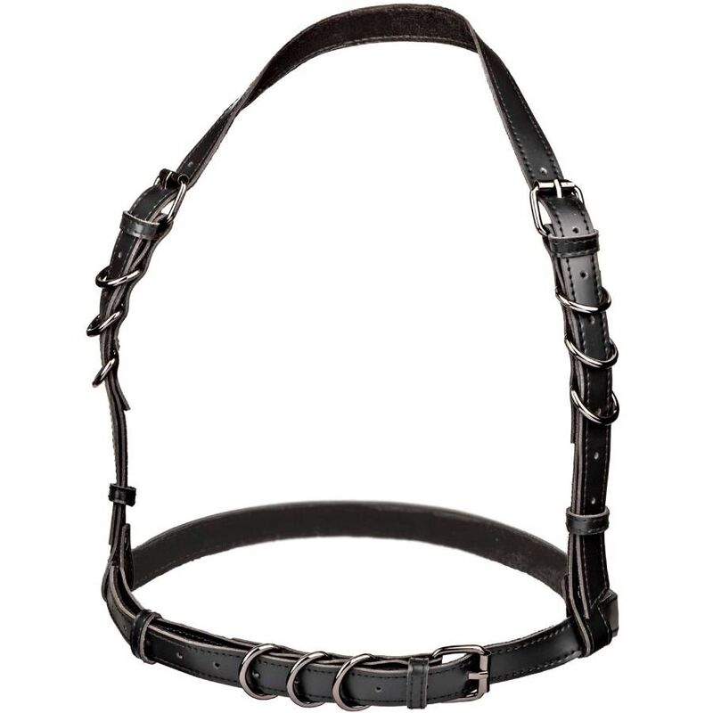 calexotics euphoria harnais boucle licol taille plus noir