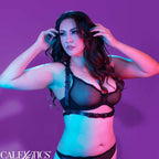 calexotics euphoria harnais boucle licol taille plus noir