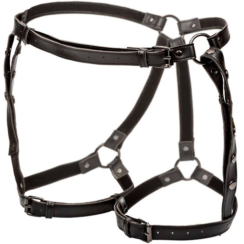 Harnais de cuisse d'équitation Euphoria — vue principale
