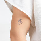 Lot de 10 tatouages temporaires coquins — détail produit