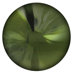 Steropes cyclops masturbateur mâle bouche