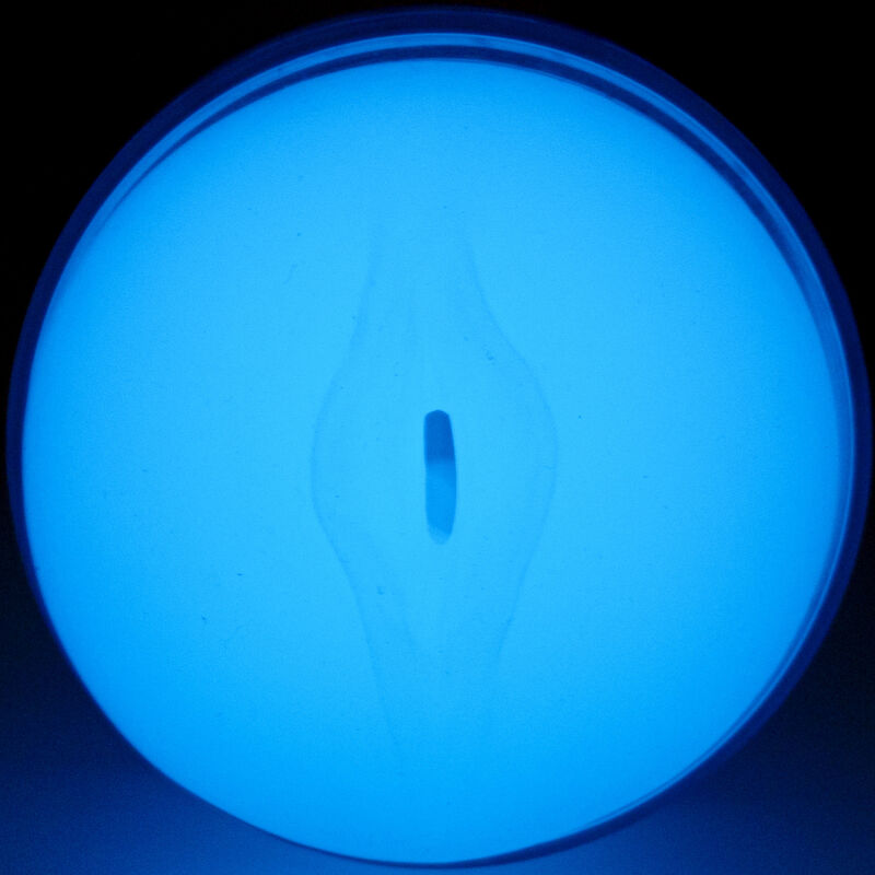 kiiroo sentez glow in the dark stroker