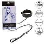 Collier et laisse réglables en cuir et chaîne métal — détail produit