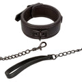 Collier et laisse réglables en cuir et chaîne métal — vue principale