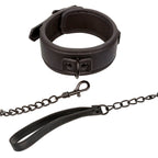 Collier et laisse réglables en cuir et chaîne métal — vue principale