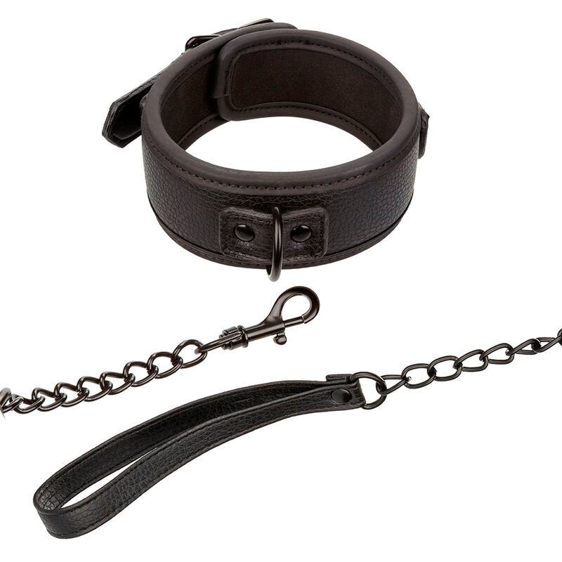 Collier et laisse réglables en cuir et chaîne métal — vue principale