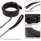 Collier et laisse réglables en cuir et chaîne métal — vue de dos