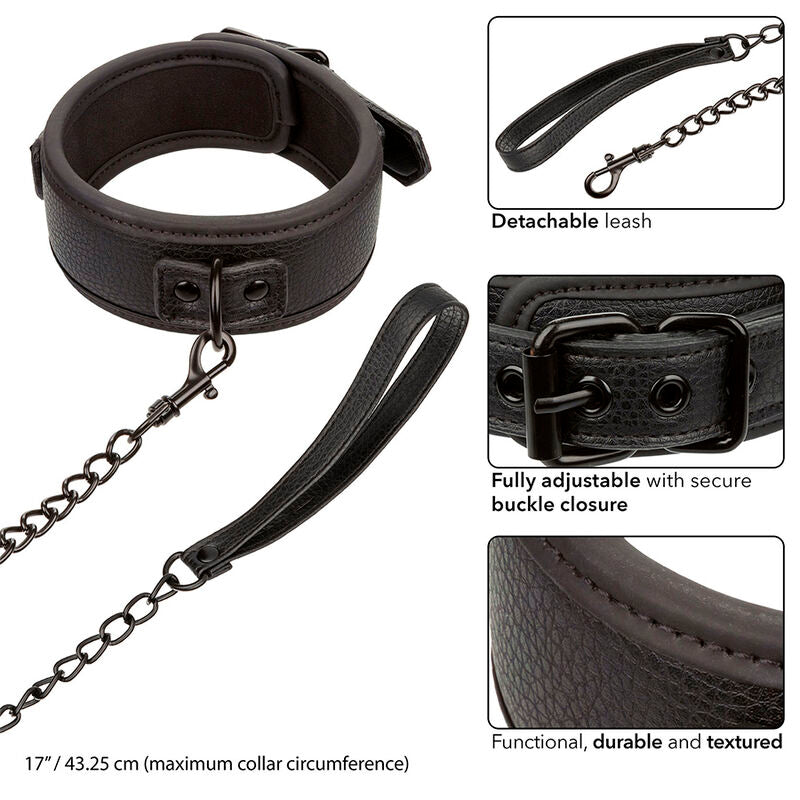 Collier et laisse réglables en cuir et chaîne métal — vue de dos