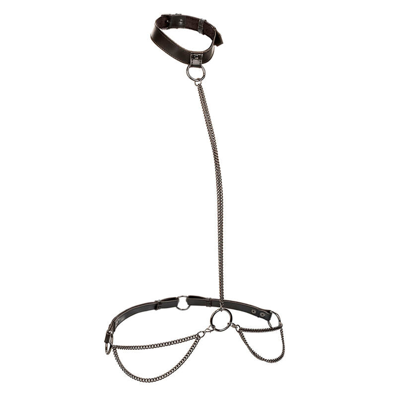 Collier licol et laisse à chaîne Euphoria — vue principale
