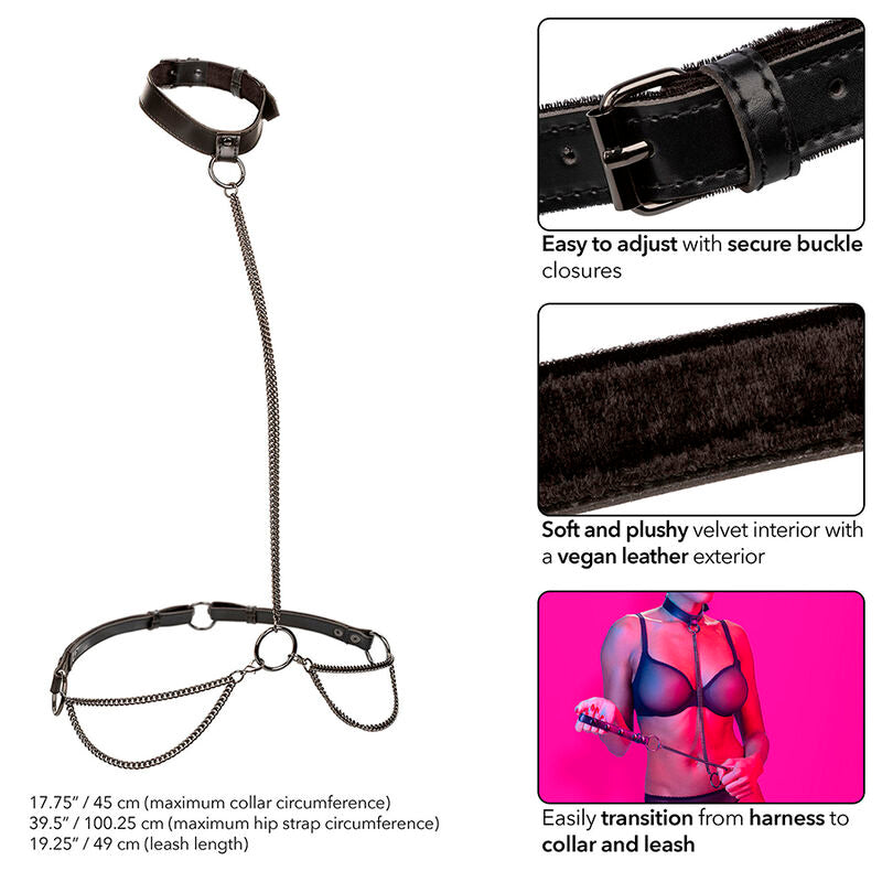 Collier licol et laisse à chaîne Euphoria — vue de profil