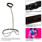 Collier licol et laisse à chaîne grande taille Euphoria — détail texture surface
