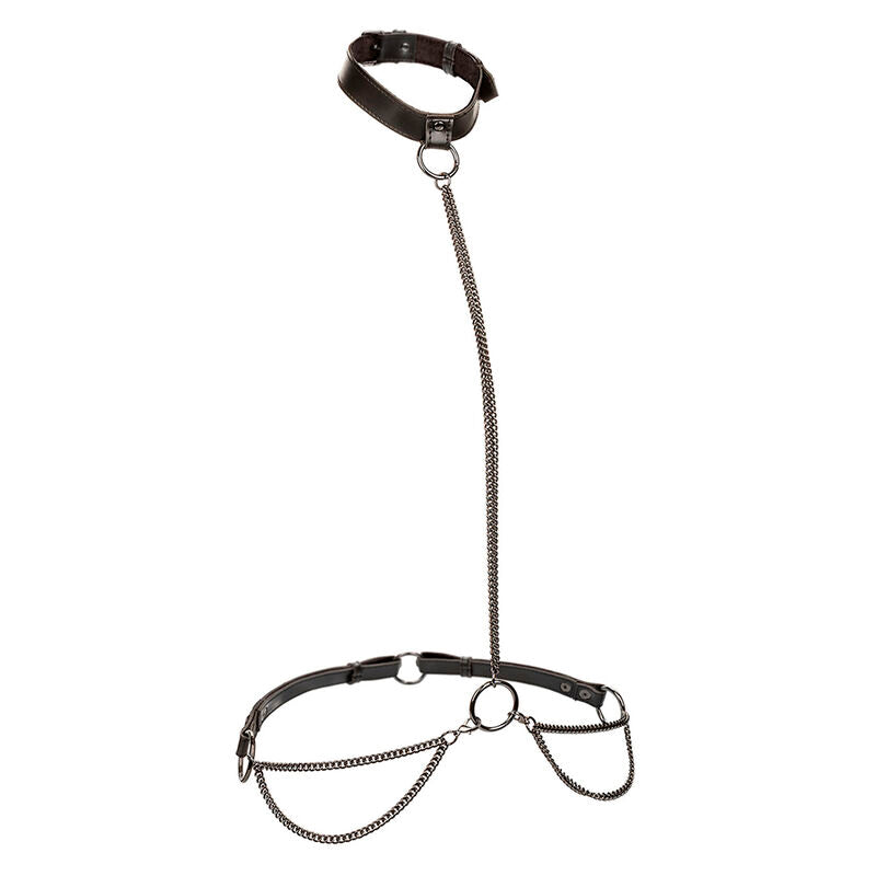 Collier licol et laisse à chaîne grande taille Euphoria — vue principale