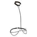 Collier licol et laisse à chaîne grande taille Euphoria — vue principale