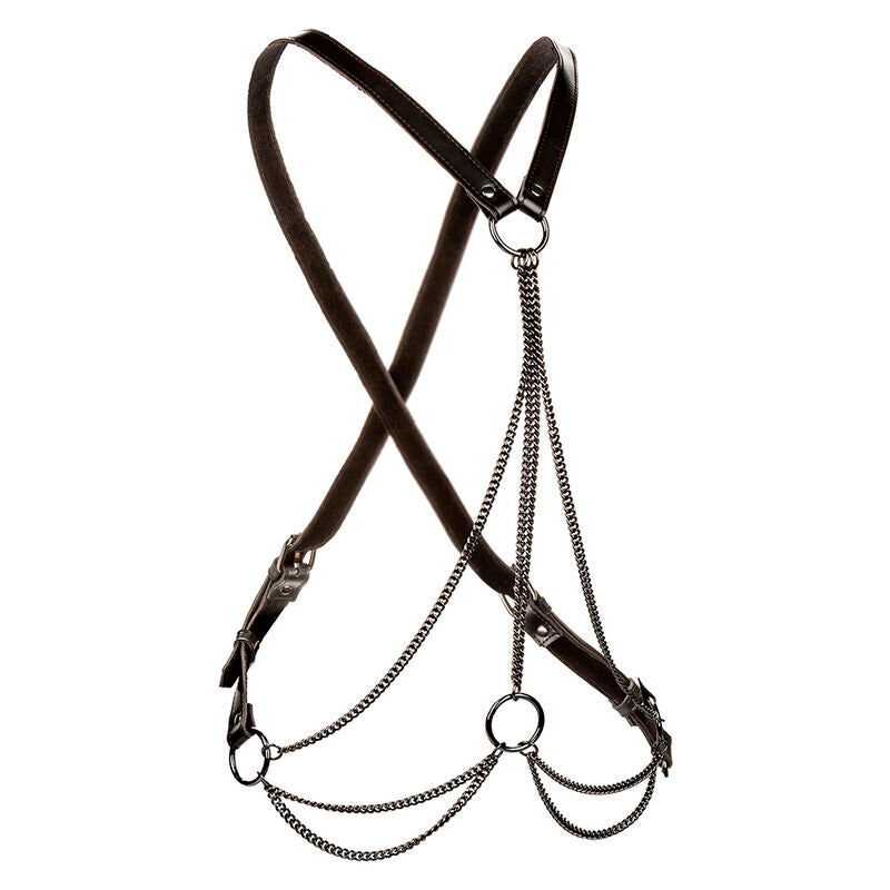 calexotics euphoria harnais multichaine premium grande taille