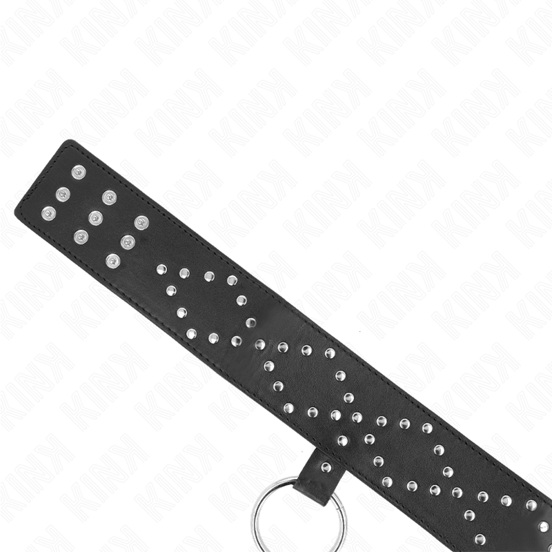 Collier à laisse avec clous argentés — vue rapprochée