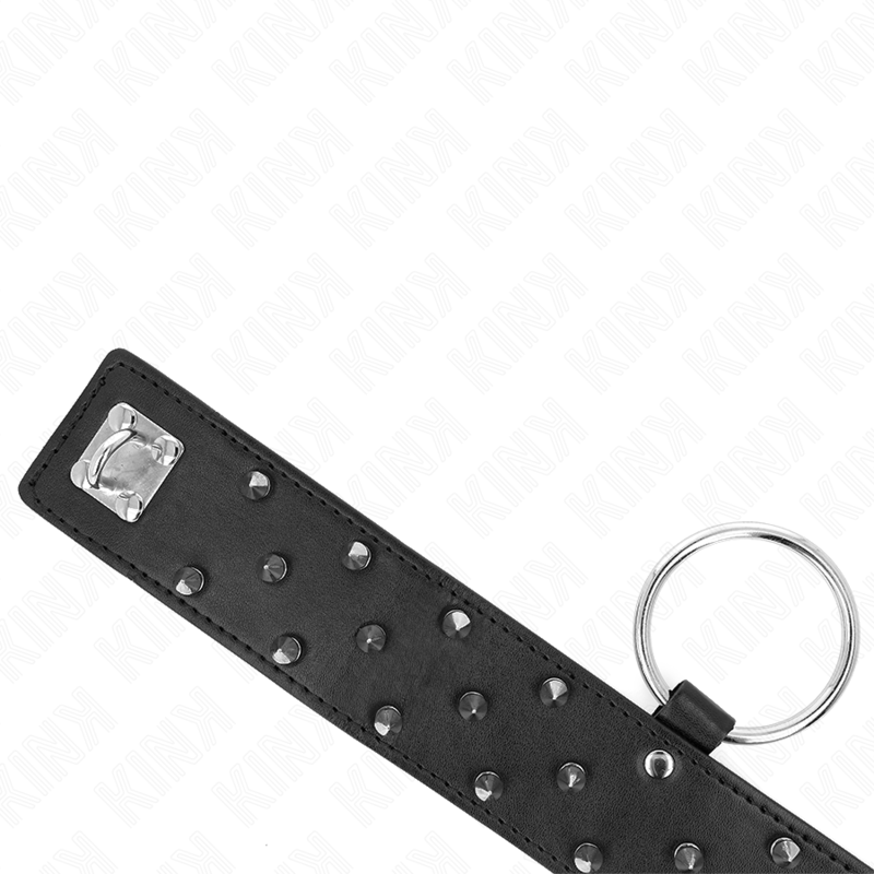 Collier à laisse avec clous argentés alignés — détail texture surface