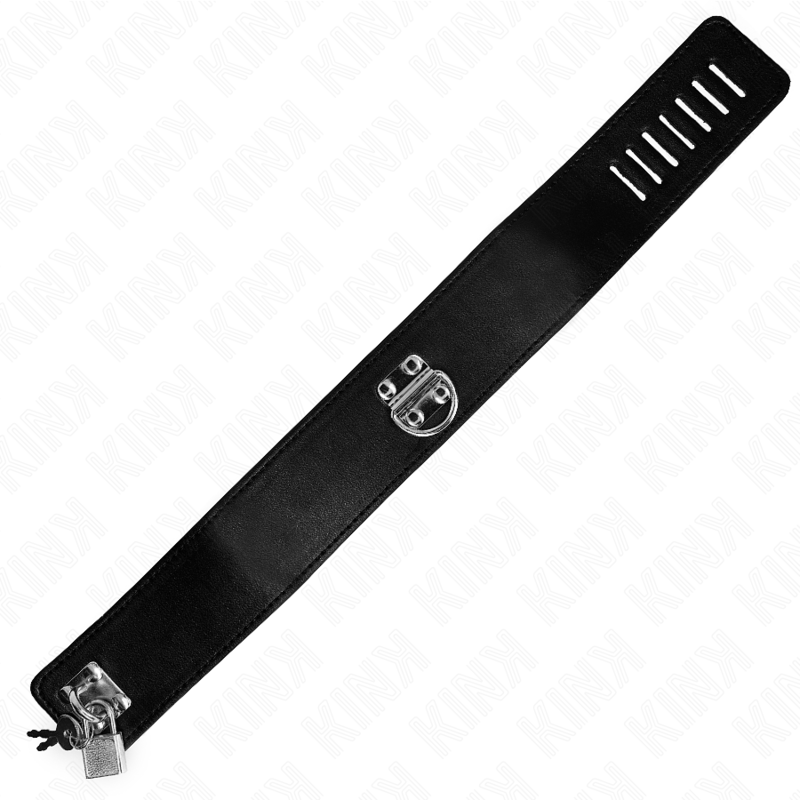 Collier de soumission fin avec longue laisse — vue rapprochée