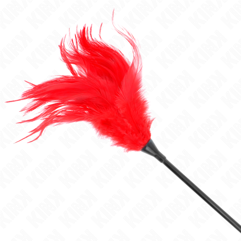 Gros plan sur les plumes rouges effilees d'un plumeau monte sur fine tige noire. Texture aerienne pensee pour des caresses legeres qui reveillent la peau.
