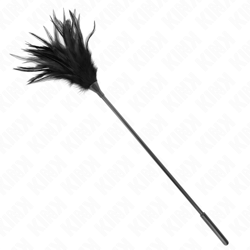 Plumeau aux plumes noires effilees en pointe sur longue tige noire. Accessoire de jeux sensoriels pour froler la peau et faire frissonner en douceur.
