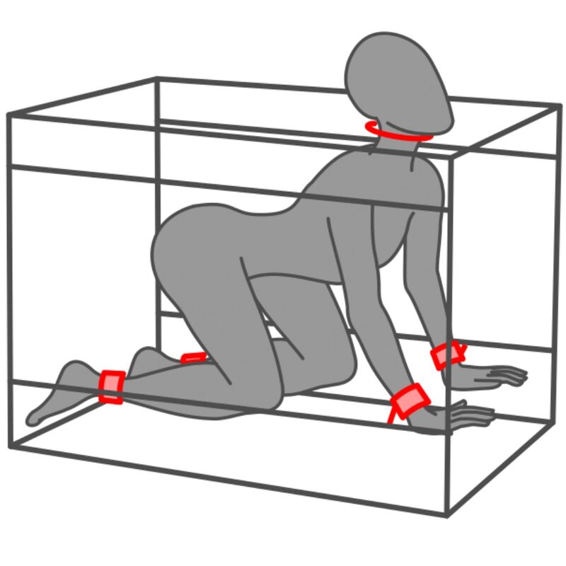 Schema au trait d'un mannequin gris a quatre pattes dans la cabine Secret Dome, cou et membres reliees aux parois illustrant la contention possible