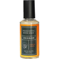Spray d'ambiance aux phéromones notes boisées Earth's Desire — vue principale