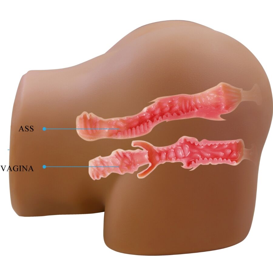 Coupe interne du masturbateur buste montrant les deux tunnels texturas ass et vagina en relief, structure nervuree en TPE chair pour une stimulation realiste.