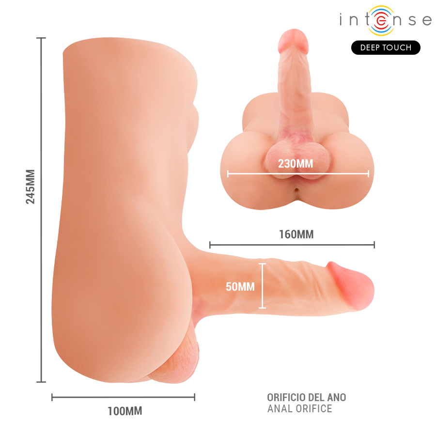 Torse masculin Damien en schema coté, hauteur 245 mm, largeur 230 mm et gode 160 mm, orifice anal indique, silicone TPE realiste a gland et testicules detailles.
