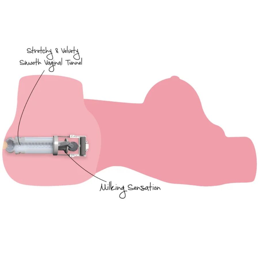 Schema technique rose du torse masturbateur illustrant le tunnel vaginal lisse extensible et le systeme de traite assurant la sensation d aspiration.