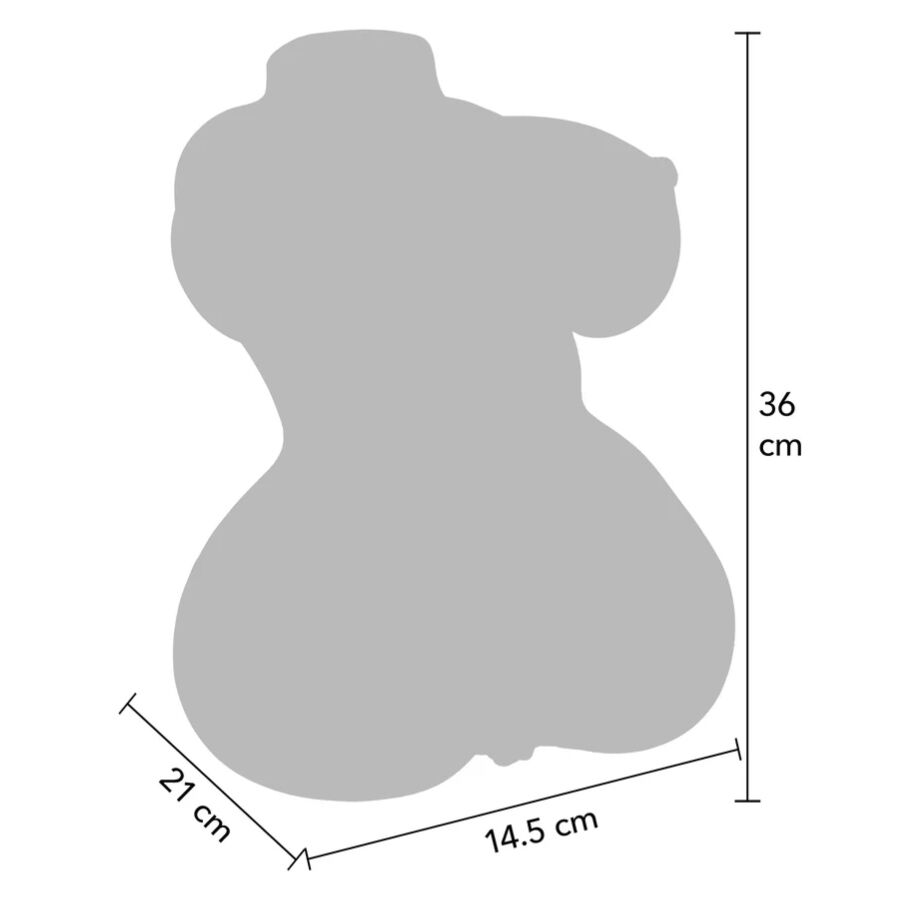 Schema technique du torse masturbateur Hidden Desire en silhouette grise, dimensions de 36 cm de haut, 27 cm et 14,5 cm pour evaluer l'encombrement reel du double plaisir.