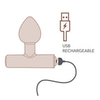 Illustration schématique du plug Nova Astryx rechargeable par câble USB, variante