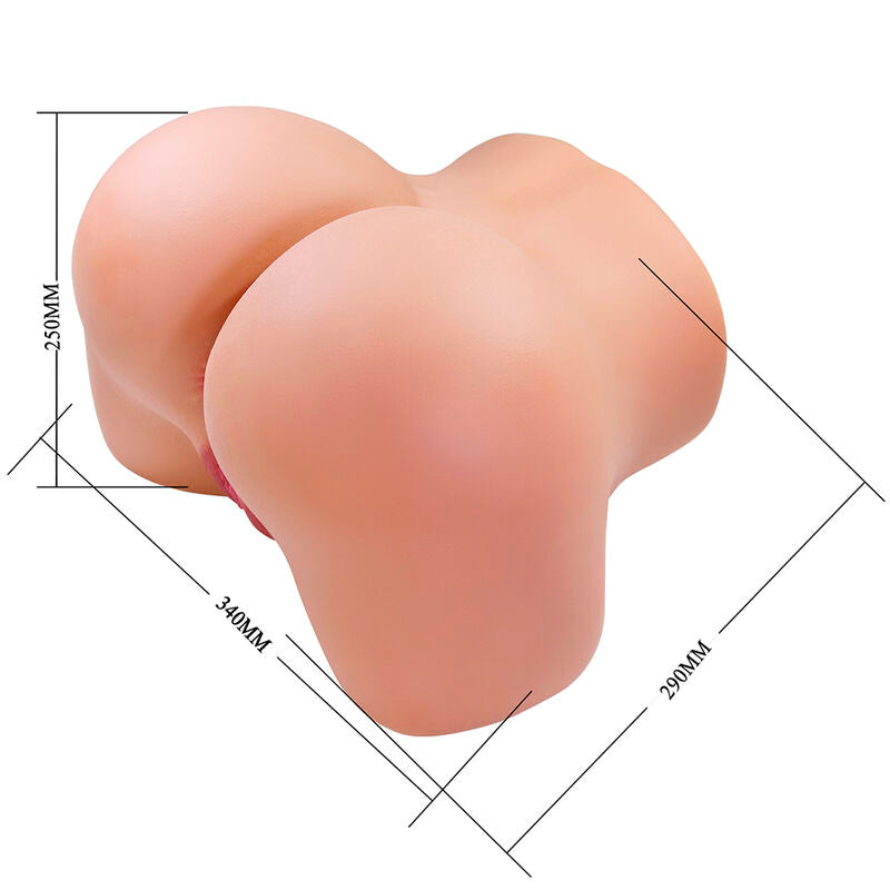 Schéma des dimensions du Julia XXL : 250 mm, 340 mm et 290 mm
