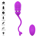 Sookie œuf vibrant violet — liste de pictogrammes des caractéristiques (moteur puissant, vibration forte, silicone sans danger, USB rechargeable, télécommande, silicone ultra-doux, flexible) à côté du rendu du produit et de la télécommande