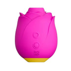 Rose 2.0 Stimulateur Clitoridien Romp — vue principale