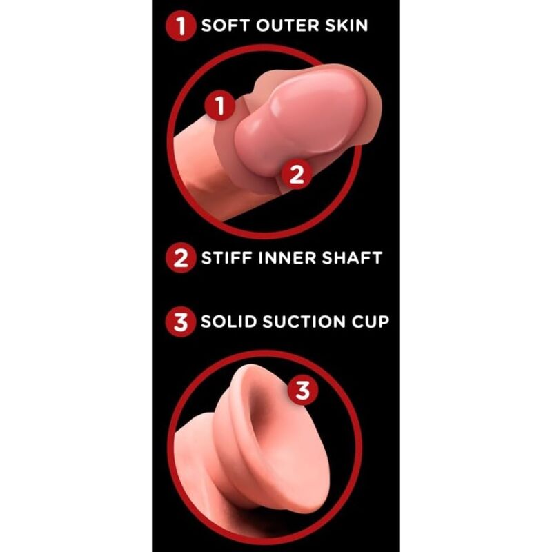 Infographie en trois points : peau extérieure souple, noyau interne ferme, ventouse solide à la base, illustrée par des gros plans du gland et de la ventouse.