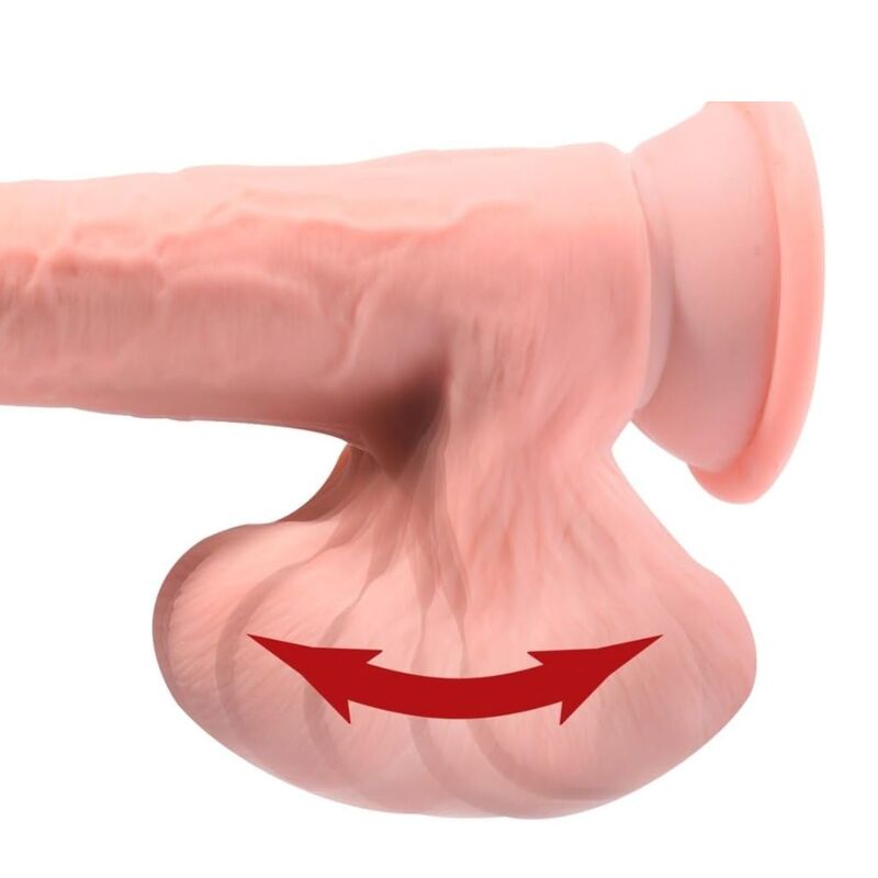 Gros plan sur les testicules moulées avec flèche illustrant leur mobilité, ventouse visible à l'arrière-plan.