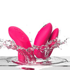 Chorus Pro – Vibrateur de couple connecté – We-Vibe