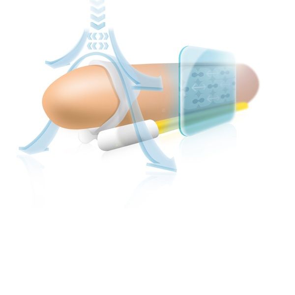 Schema technique de mise en place de l'Andropenis Mini illustrant le positionnement du dispositif de traction sur le penis, vue explicative du fonctionnement de l'appareil medical