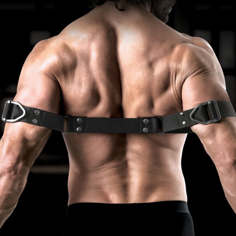 Entrave de biceps sangles nylon et acier inoxydable — vue de dos