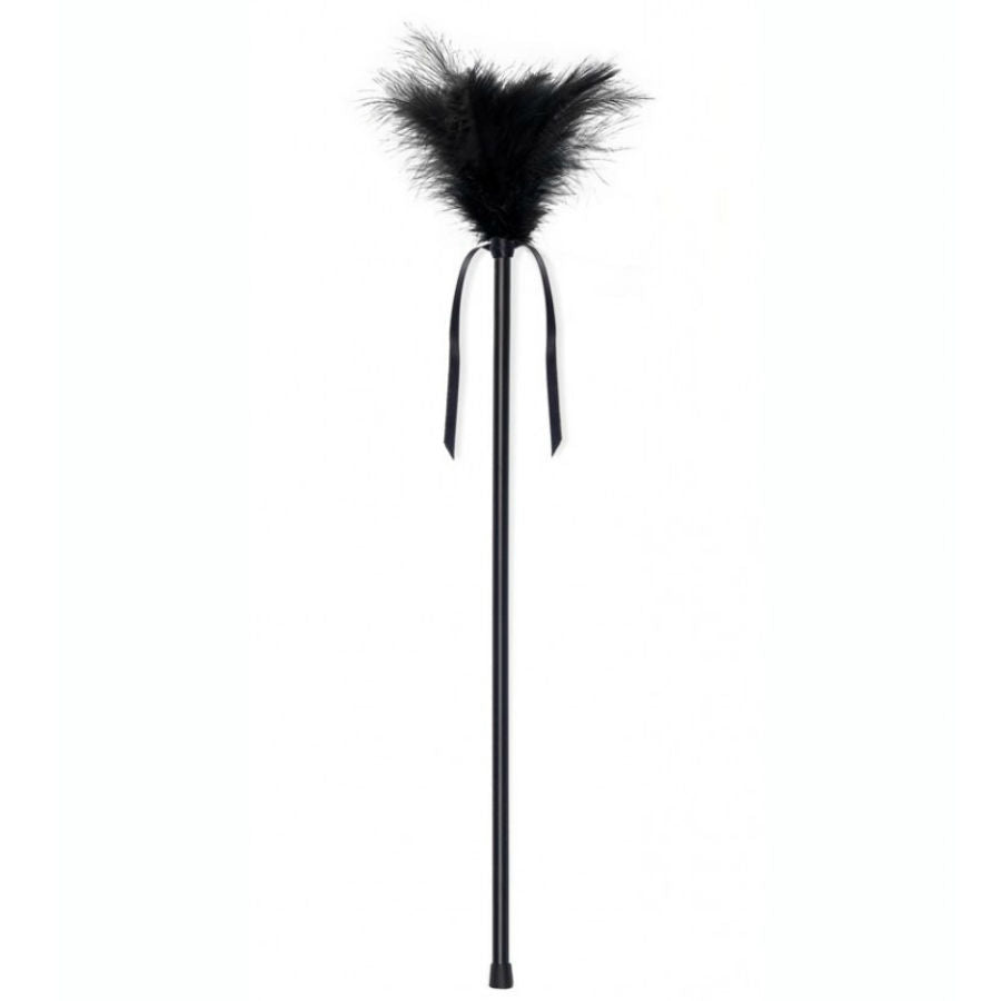 secretplay plumes noires 40 cm