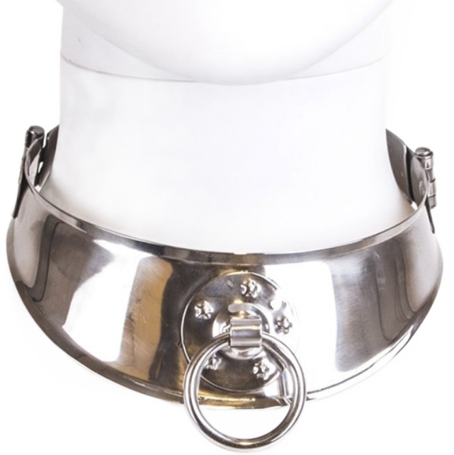 Collier de soumission en acier inoxydable avec anneau — vue principale