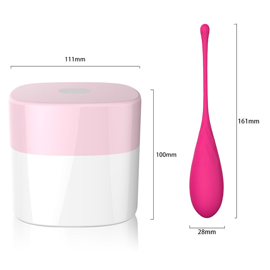 Schema dimensionnel d une boule de Geisha en silicone fuchsia : 161 mm de longueur totale, 100 mm de corps et 28 mm de diametre, a cote de son boitier de 111 mm