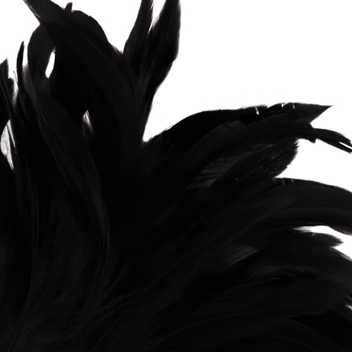 Gros plan sur le bouquet de plumes noires souples du plumeau de stimulation Darkness, barbes legeres qui glissent sur la peau pour titiller en douceur.