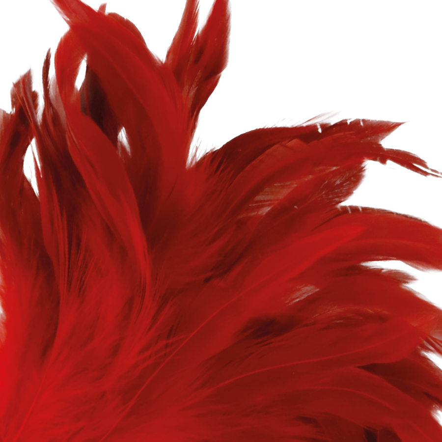 Gros plan sur le bouquet de plumes rouges douces du plumeau Darkness, barbes legeres et fluides pensees pour titiller la peau et reveiller tous les sens.