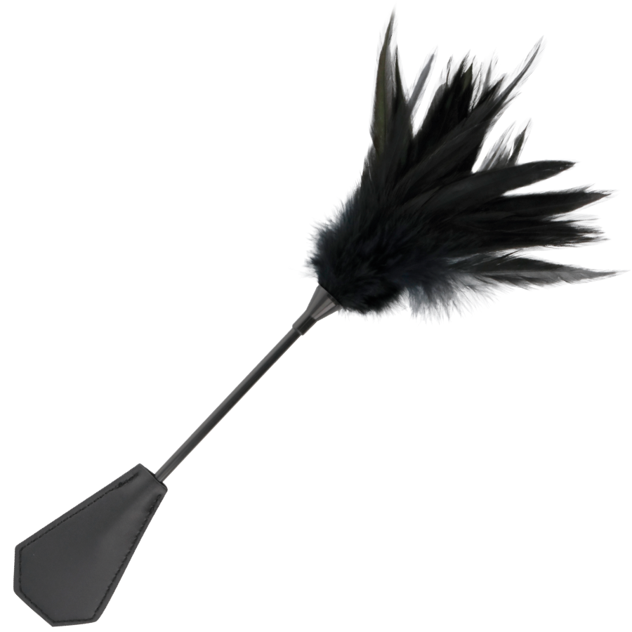 Fouet double face plumes noires et cravache — vue principale