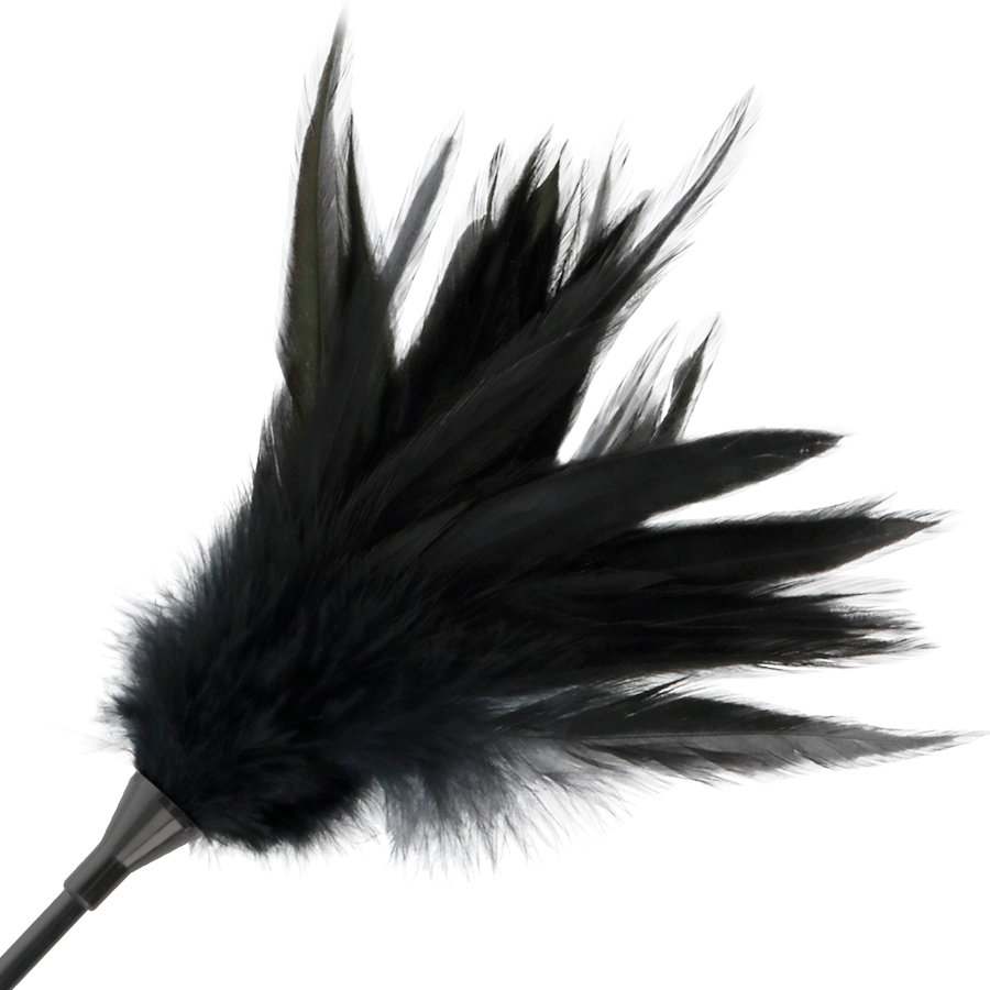 Fouet double face plumes noires et cravache — vue de profil